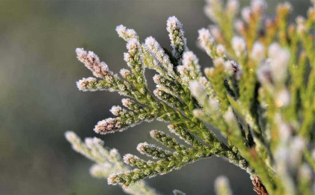 EAttachments9410671efb7fdce809e1b76ead9bc61e490ad7e xl