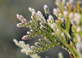 EAttachments9410671efb7fdce809e1b76ead9bc61e490ad7e xl