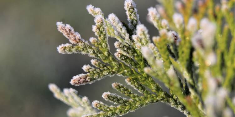 EAttachments9410671efb7fdce809e1b76ead9bc61e490ad7e xl