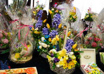 EAttachments9411171eb91afac1bc8873b51b46165e765a55b xl