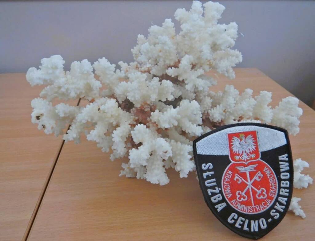 EAttachments9412536f9b7e0b7191d75afdf52ea1484261f60 xl