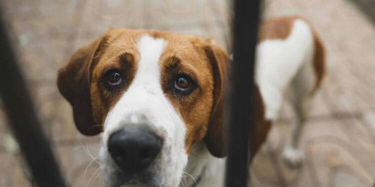 EAttachments9414744bc50bbd0f19ab4e2fe4380e7e72cadd7 xl