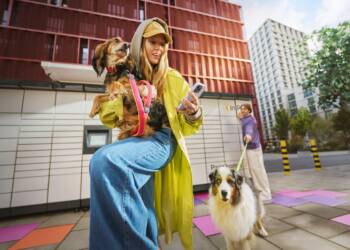 EAttachments9415132a0bbed559d6f3e604da82b901a8be74b xl