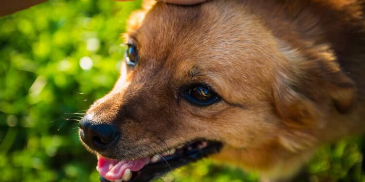 EAttachments9415196fff3d5f028fccf0d12b9ecf4bc37ffbd xl