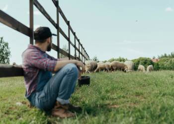 EAttachments94154285d1d6658f25e9033c8af78d76c3adff4 xl