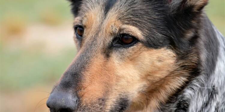 EAttachments94160886c932115d558069a2c7e2174423d850c xl