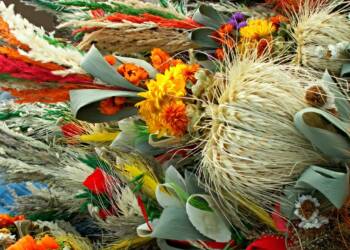 28.03.2026 Etnosfera 2 EAttachments9417264066252445c595e7d0b538f0cbbbfbedb xl