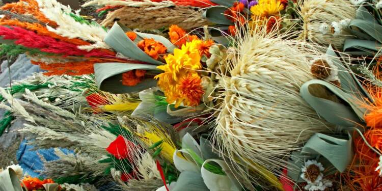 EAttachments9417264066252445c595e7d0b538f0cbbbfbedb xl