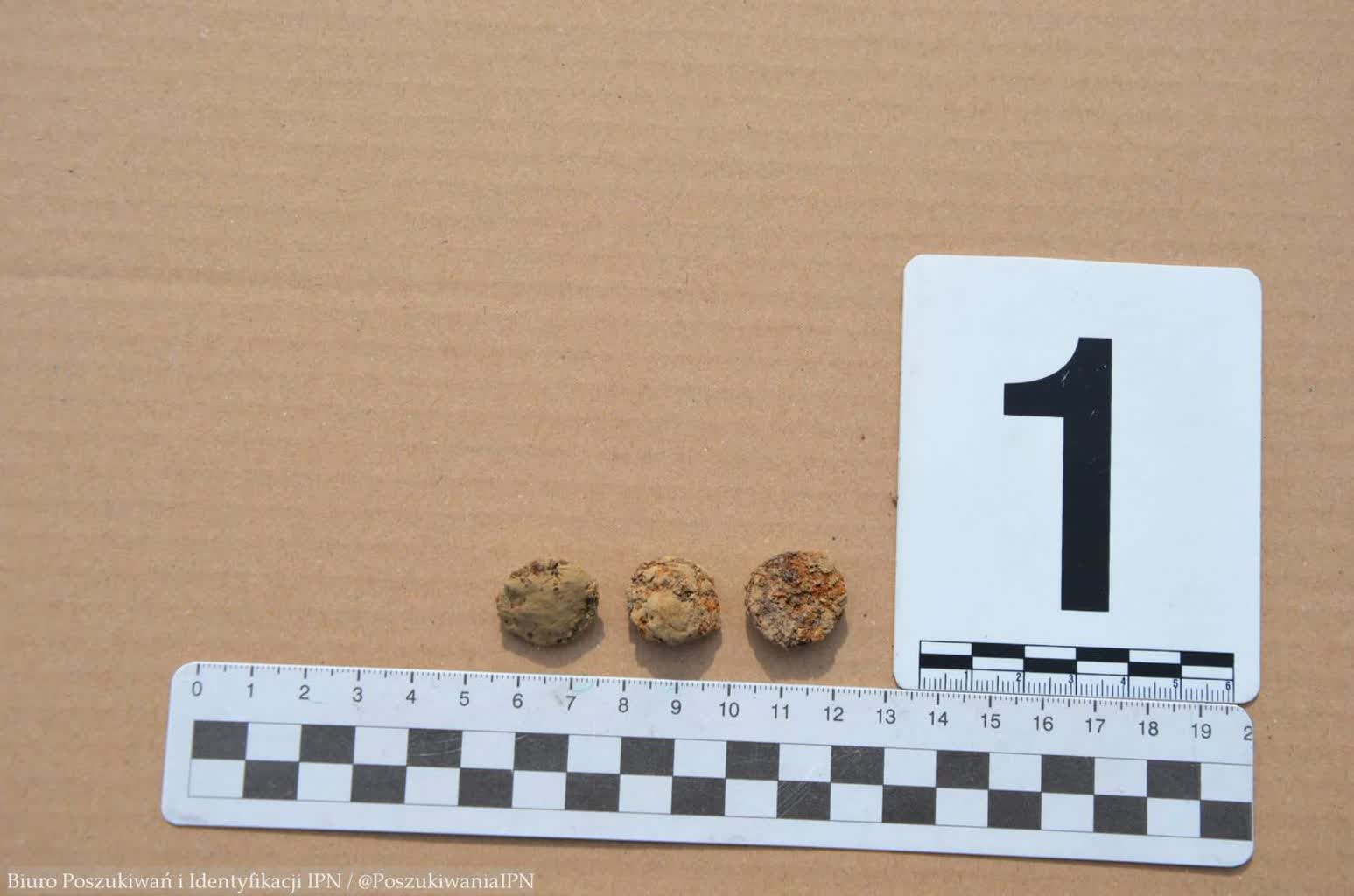 Lublin: IPN odnalazł szczątki. To prawdopodobnie więźniowie straceni na Zamku 2 657240605_1381636960658100_5854831617220247169_n.jpg