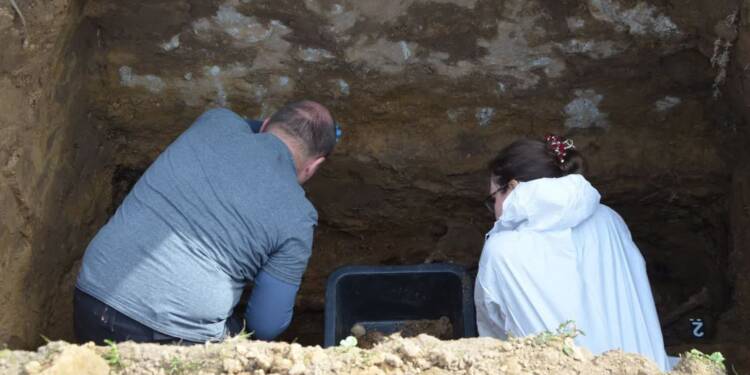 EAttachments94179422633bfe21392e51ddadad4ae0a82ae45 xl