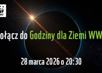 EAttachments94182973ef41aac5a67e169e9005f79db53bfa4 xl