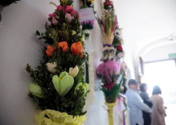 EAttachments9419466ca9eec728455ce58743203d73c2db892 xl 1024x683 1