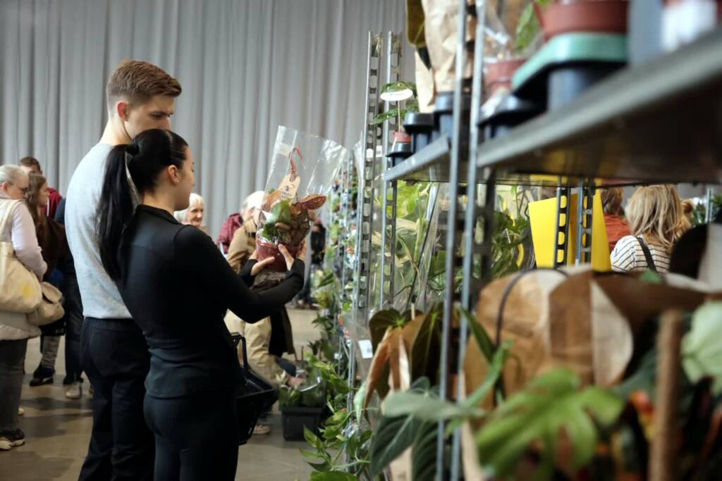 Targi Roślin w Lublinie 1 EAttachments9419760c33c2a1f6ab8f978f8b5fd61d0d72aff xl