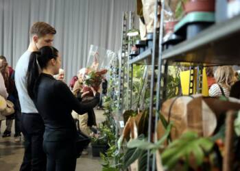 EAttachments9419760c33c2a1f6ab8f978f8b5fd61d0d72aff xl