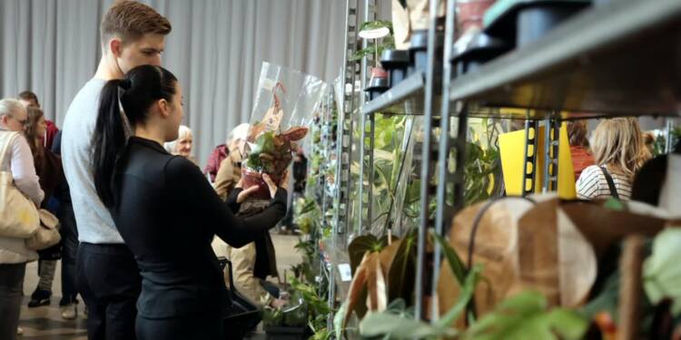 Targi Roślin w Lublinie 1 EAttachments9419760c33c2a1f6ab8f978f8b5fd61d0d72aff xl