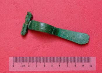 Unikat odkryty na terenie gminy Dorohusk. „Fibula” trafi do Muzeum Ziemi Chełmskiej 2 EAttachments94200862b5384d8fbe4dce02d4273cbf5b75cd4 xl