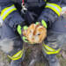 EAttachments94201218799e3420644afc28e6a9e8f5a02e835 xl