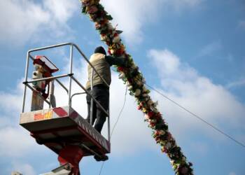 13 metrów tradycji. Wyjątkowa palma w Świdniku 2 EAttachments9420292f3d8308c9d5c3c943a2051b33a65c22f xl