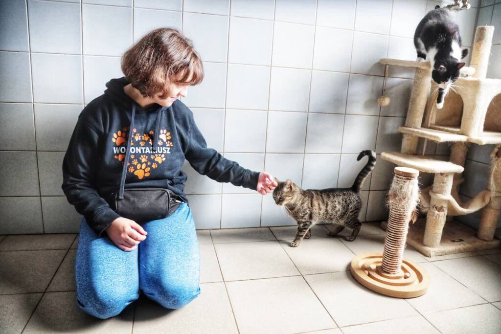 EAttachments9420626e59012ee45a841c00950442321d4a7b6 xl 1