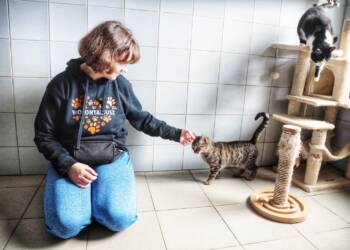 EAttachments9420626e59012ee45a841c00950442321d4a7b6 xl 1