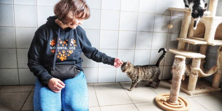 EAttachments9420626e59012ee45a841c00950442321d4a7b6 xl 1