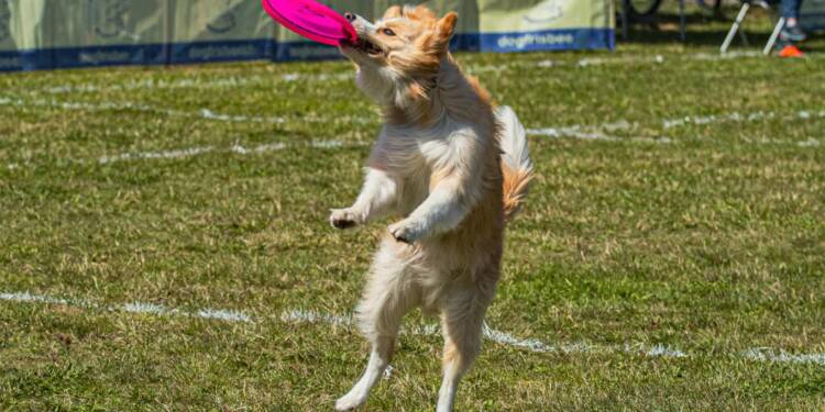 EAttachments94236163d6bbd17900114b7c5a41393da9401ac xl