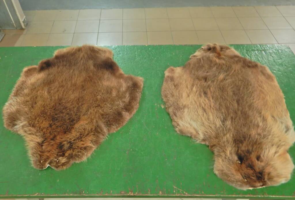 EAttachments94241648039a7f30047990f7dbabb7c8408ce0e xl