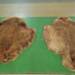 EAttachments94241648039a7f30047990f7dbabb7c8408ce0e xl