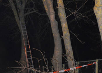 Tragiczny wypadek przy przycinaniu drzew. Nie żyje 43-latek 2 EAttachments942530901759334c746b0e0f8d74e1bbb31f60e xl