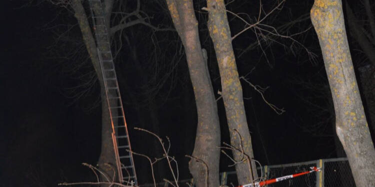 EAttachments942530901759334c746b0e0f8d74e1bbb31f60e xl