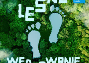 „Sadzimy razem z naturą” | Leśne wędrowanie 4 las 1024x1024 1