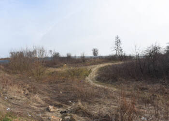 Skarga na uchwałę radnych ws. Górek Czechowskich. Sprawie przyjrzy się sąd 6 EAttachments531261316af9478813c289041fc1c7348d14134