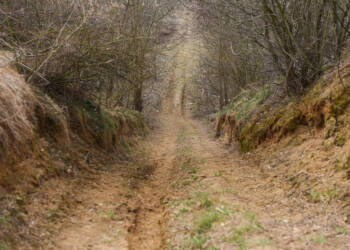 EAttachments5312617cfc0c4c2a10b9e30728d3214cc3c85a4