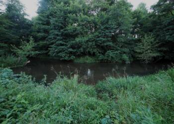 EAttachments564331523592c336121d35ee9ba54458c4272b5