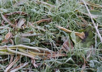 EAttachments7780089a984e9ac1c0b7146b2aa7eea33d3ff25 1024x683 1