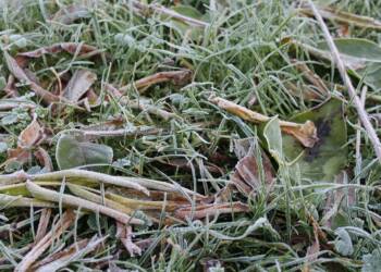 Przymrozki w części regionu. IMGW ostrzega 2 EAttachments7780089a984e9ac1c0b7146b2aa7eea33d3ff25