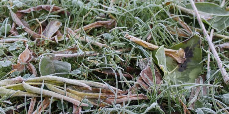 Przymrozki w części regionu. IMGW ostrzega 1 EAttachments7780089a984e9ac1c0b7146b2aa7eea33d3ff25