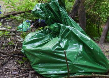 EAttachments7996452b0311086913c98674b3f30c365fd4146