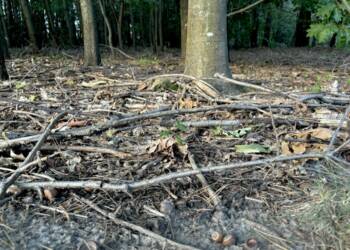 EAttachments818834484f8bdf023dbbfdbe5c620d1a6b6d384 1024x758 1