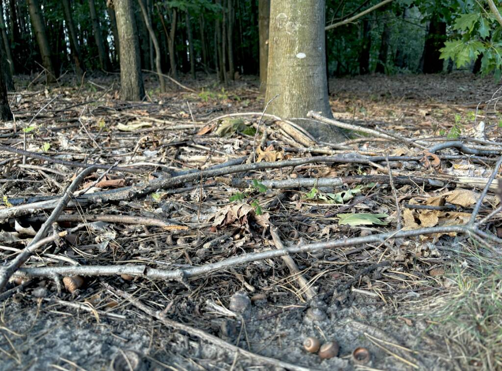 EAttachments818834484f8bdf023dbbfdbe5c620d1a6b6d384