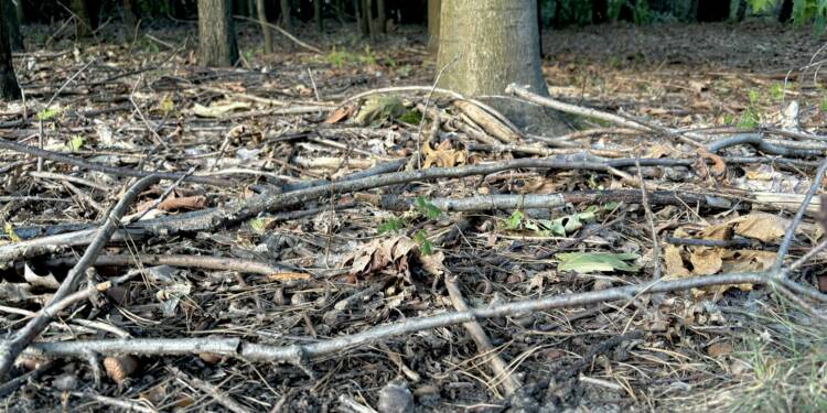 EAttachments818834484f8bdf023dbbfdbe5c620d1a6b6d384