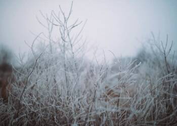 Przymrozki w regionie. Synoptycy ostrzegają 4 EAttachments8611619bc06bebd8abe92842a8a4ce5ed769ec9 xl