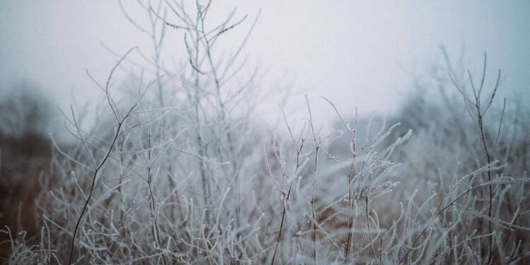 EAttachments8611619bc06bebd8abe92842a8a4ce5ed769ec9 xl