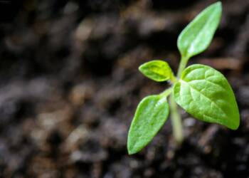 EAttachments86244227eae1def5941ae95feaa22fe790da76f xl