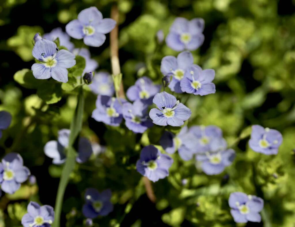 EAttachments86525818049771854d12faf237ffad3ef6f4581 xl