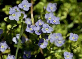 EAttachments86525818049771854d12faf237ffad3ef6f4581 xl