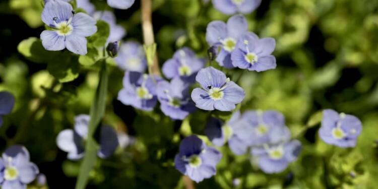 EAttachments86525818049771854d12faf237ffad3ef6f4581 xl