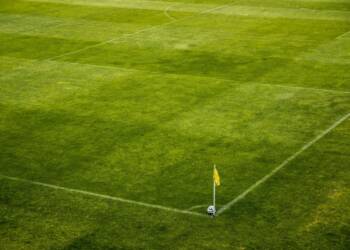 EAttachments8774015367e10f47e8a461c0caf3f9e8cc021c6 xl