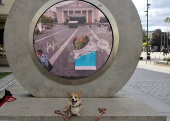 EAttachments8922911d28451fa77fcd78e12b550ad71dd5c28 xl