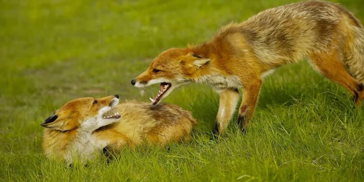 EAttachments9056878b960fbf744c6c5eeea7d06f99539208c xl